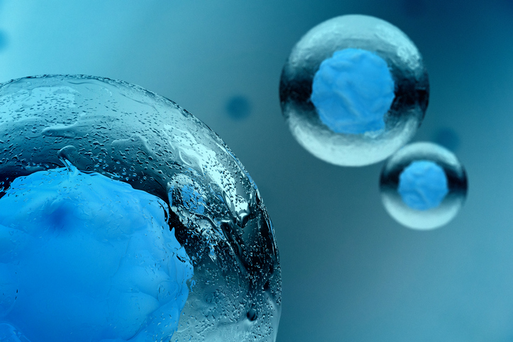 Mitos e verdades sobre as células-tronco